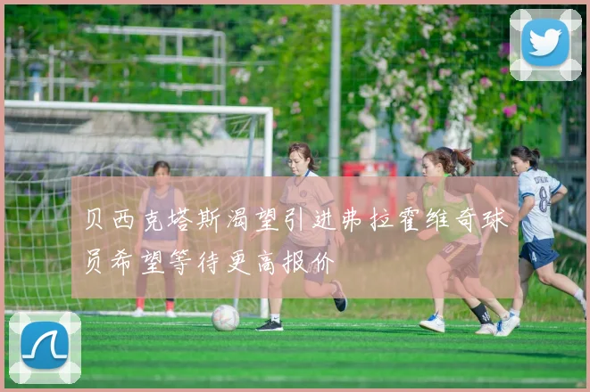 贝西克塔斯渴望引进弗拉霍维奇球员希望等待更高报价